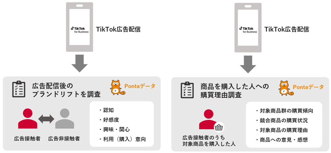 Pontaデータを活用したTikTok広告のブランドリフト・購買理由調査